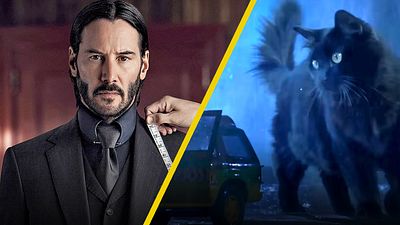 Así sería 'John Wick', 'Jurassic Park' y otras películas si el protagonista fuera un gatito noticias imagen