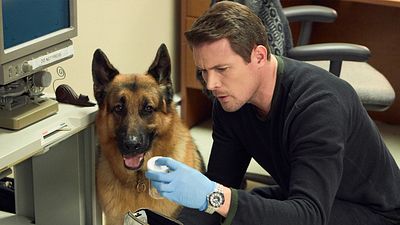 'Hudson & Rex': La serie policiaca que te sorprenderá con humor, ternura y un perro detective noticias imagen