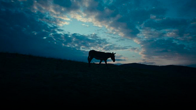 Esta película le rompió el corazón al mundo: Dura menos de 2 horas y compitió en los premios Oscar noticias imagen