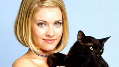 Si eres amante de los michis, el LEGO de gato tiene su primer gran descuento en Amazon noticias imagen