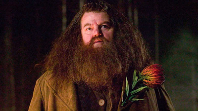 La triste razón por la que Hagrid usa un paraguas y no una varita mágica en 'Harry Potter' noticias imagen