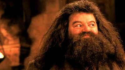 'Animales fantásticos': ¿Veremos a Hagrid en algún momento de la saga? noticias imagen