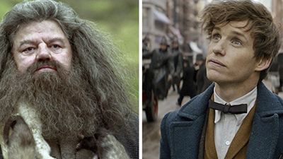 'Animales fantásticos': Hagrid y Newt podrían estar conectados de esta forma
