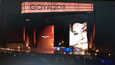 Goya 2019: Estos son los ganadores  noticias imagen