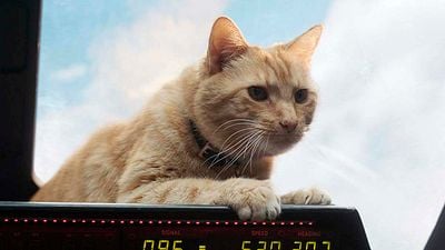 'Capitana Marvel': 10 secretos de Goose, el gato noticias imagen