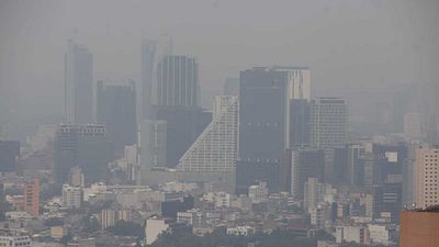 11 Documentales que podrían evitar el fin del mundo noticias imagen