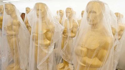 El Oscar 2021 podría ser pospuesto por causa del COVID-19  noticias imagen