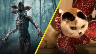 El disfraz de Demogorgon para mascotas que todo fan de 'Stranger Things' necesita noticias imagen