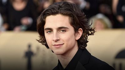 Timothée Chalamet confirmó la realización de la biopic de Bob Dylan noticias imagen