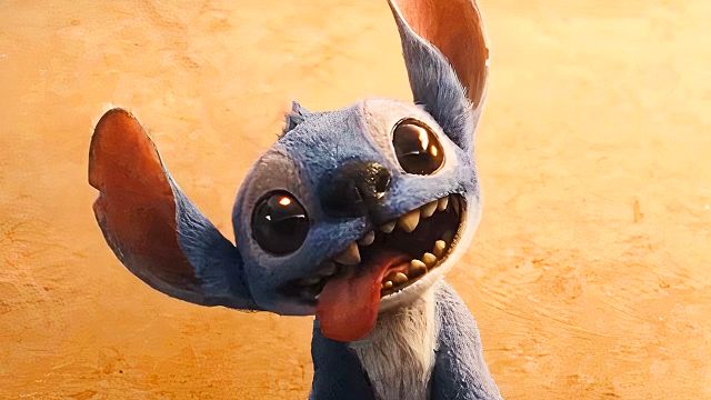 ‘Lilo y Stitch’: El increíble animal que inspiró el aspecto de Stitch (muy pocos lo conocen) noticias imagen