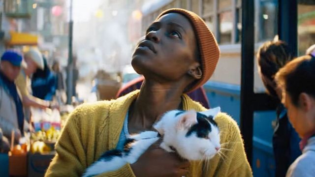 Este gatito es el verdadero monstruo de 'Un lugar en el silencio: Día uno', la nueva película de Joseph Quinn noticias imagen