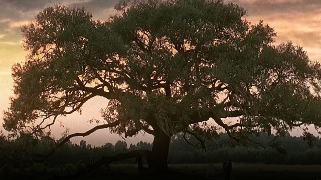 Ganó 678 millones de dólares, es conmovedora y para muchos la mejor película de todos los tiempos: está disponible en Netflix México noticias imagen