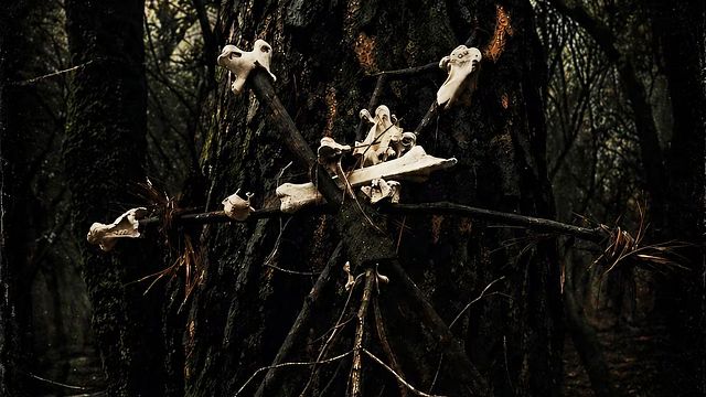 México lleva el terror nacional a Francia con 'The Offering' y 'The Blind Alley' como representantes del género noticias imagen