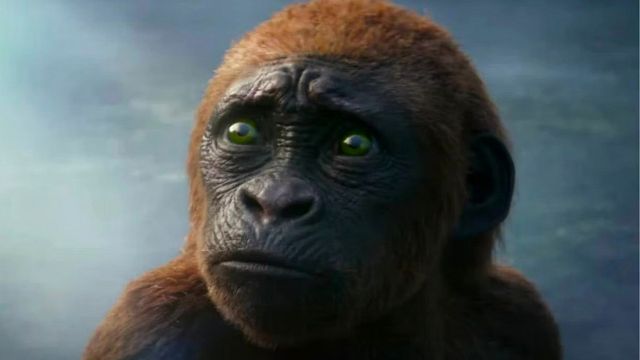 ‘Godzilla y Kong: El nuevo imperio’: Conoce a Suko, el bebé Kong de la nueva película de estos titanes