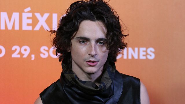 Timothée Chalamet se convierte en luchador mexicano durante la premiere de 'Duna 2' en México noticias imagen
