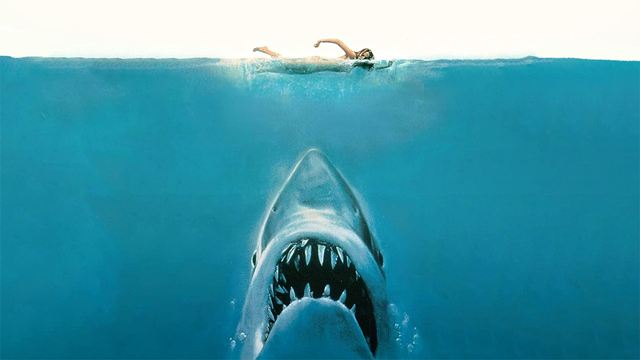 'Tiburón' de Steven Spielberg se hizo realidad y esta mujer vivió para contarlo