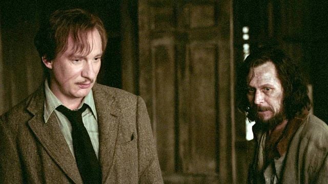 Este querido actor de ‘Harry Potter’ dijo que su interpretación es “mediocre” noticias imagen