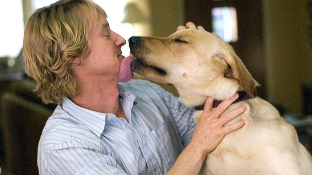 Esta página te avisa si muere un perrito en una película: ¡te vas a ahorrar muchas lágrimas! noticias imagen