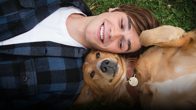 Comparte emotivo video de su perrito y fans encuentran relación con 'La razón de estar contigo' noticias imagen