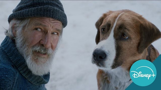 En Netflix y Disney+: la joya de aventuras con Harrison Ford y un adorable perrito que puedes ver en México noticias imagen