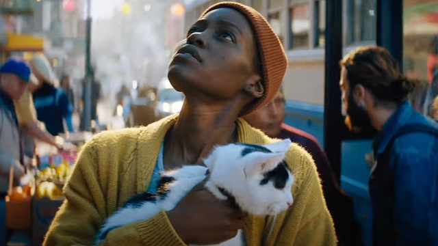 'Un lugar en silencio: Día uno': Las mascotas del cine que te ayudarían a sobrevivir el apocalipsis noticias imagen