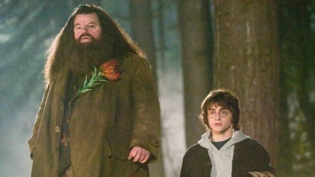 El vínculo entre dos personajes de Harry Potter que casi nadie valoró ni notó en toda la saga noticias imagen