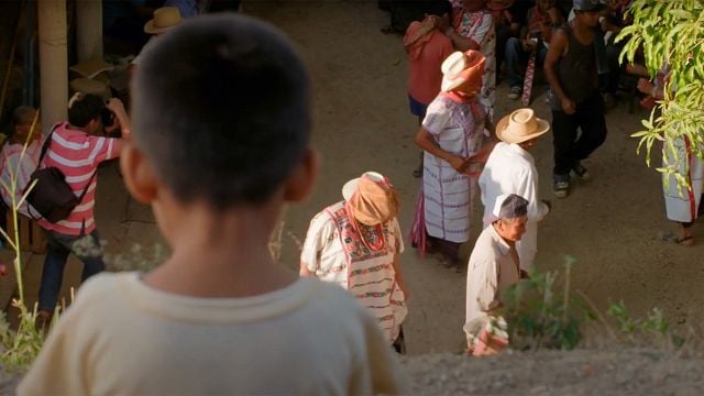 Hilando sones': el documental de FICM 2024 sobre la importancia de la lengua como herencia indígena - Noticias de cine - SensaCine.com.mx