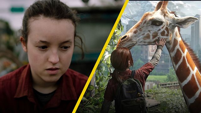 'The Last of Us': Bióloga mexicana te explica por qué las jirafas no se contagiaron en episodio final noticias imagen