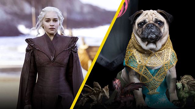 Así se verían 'Game of Thrones' y 'Breaking Bad' si fueran protagonizadas por adorables pugs noticias imagen