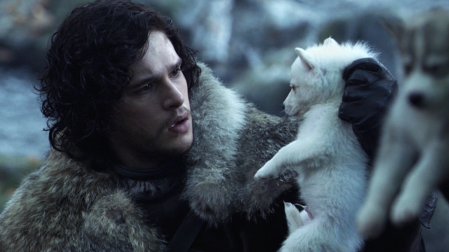 George R.R. Martin, creador de 'Game of Thrones', llora al ver los lobos huargo volver de su extinción noticias imagen