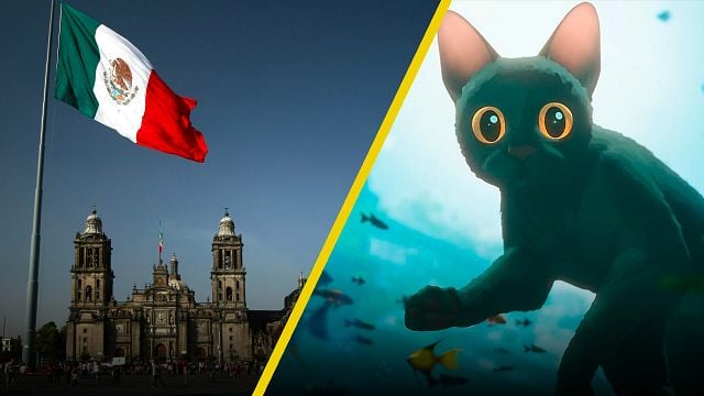 ‘Flow’ en el Zócalo: Director asegura que “la animación rompe fronteras” durante su visita a CDMX noticias imagen