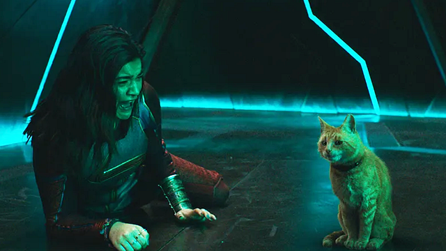 Te explicamos por qué hay un ejército de gatos en 'The Marvels' noticias imagen