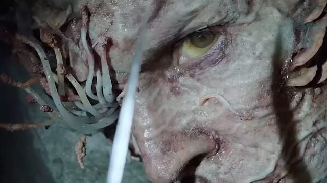 'The Last of Us' en la vida real: un jugador de PC regresa a casa después de un mes y descubre que todo su equipo ha sido infectado por un hongo noticias imagen