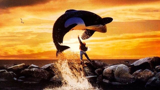 Este fue el trágico final de la orca de 'Liberen a Willy' en la vida real