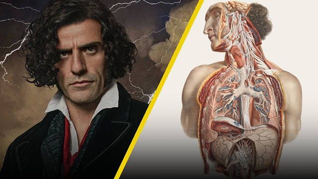 Los artistas y médicos que estudiaron cadáveres antes de Victor Frankenstein noticias imagen