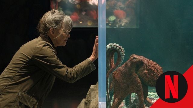 Un pulpo, una viuda y una amistad inesperada: la historia de Netflix que promete hacerte llorar noticias imagen
