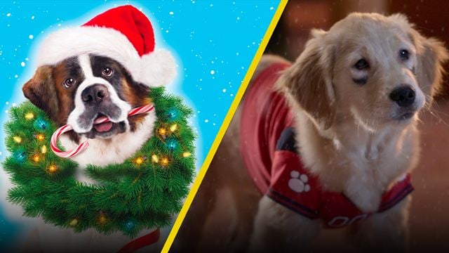 Las 5 mejores películas navideñas con perritos para ver con tu mascota