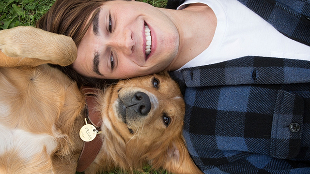 Prohibido: la película que no debes si tienes un perro en casa noticias imagen