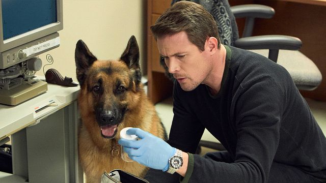 'Hudson & Rex': La serie policiaca que te sorprenderá con humor, ternura y un perro detective noticias imagen