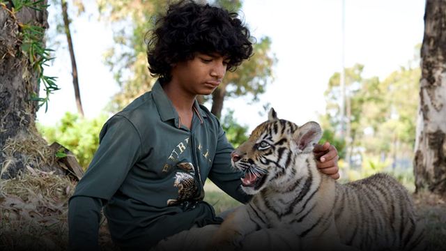 'El niño y el tigre': La asombrosa leyenda que inspiró la película con Sunny Pawar