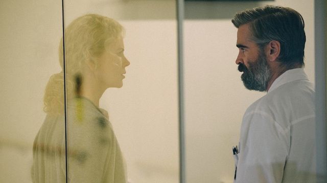 FICM: La guía definitiva de las películas del festival que podrás ver en CDMX noticias imagen