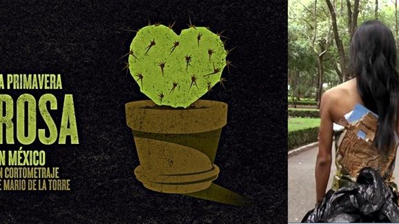 ENTREVISTA: ‘Primavera Rosa en México’ Los motivos para celebrar su nominación a los Goya 2018 noticias imagen