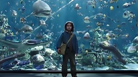 'Aquaman' y otras películas con cameos de hijos de famosos
