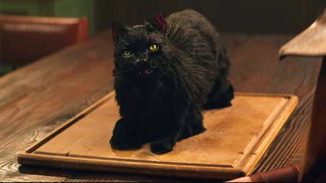 Conoce a Salem, el gato de Sabrina en la nueva serie de Netflix sobre Sabrina, la bruja adolescente