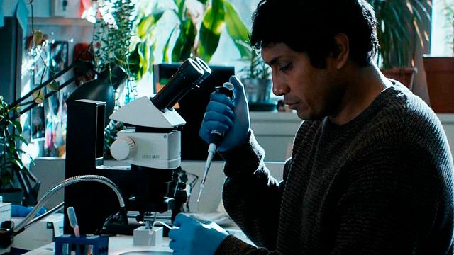Sundance 2021: ¿Cómo le fue a Tenoch Huerta con el estreno de 'Hijo de monarcas'? noticias imagen