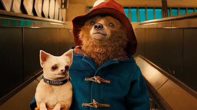 'Paddington 3': ¿Qué esperar de la película con tantos cambios detrás de cámara? noticias imagen