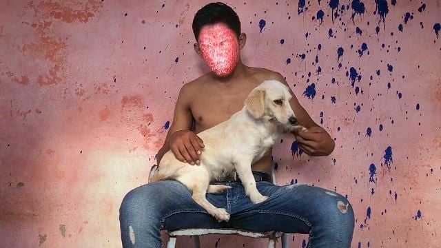 'Los Plebes': El documental de FICUNAM sobre la juventud perdida en manos del crimen organizado noticias imagen