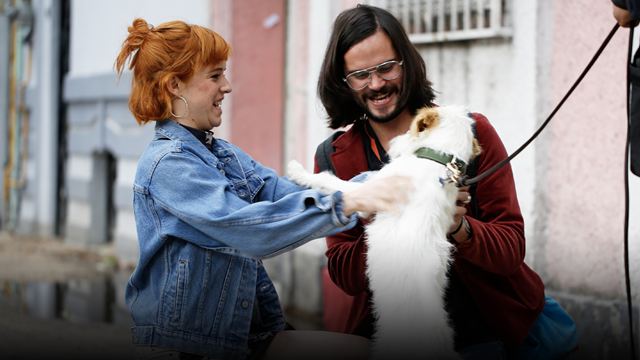 'Amsterdam': La serie mexicana que no te debes perder si tienes perrhijos está en HBO Max