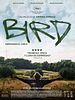 Cartel de BIRD: Emprender el vuelo