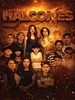 Cartel de Halcones